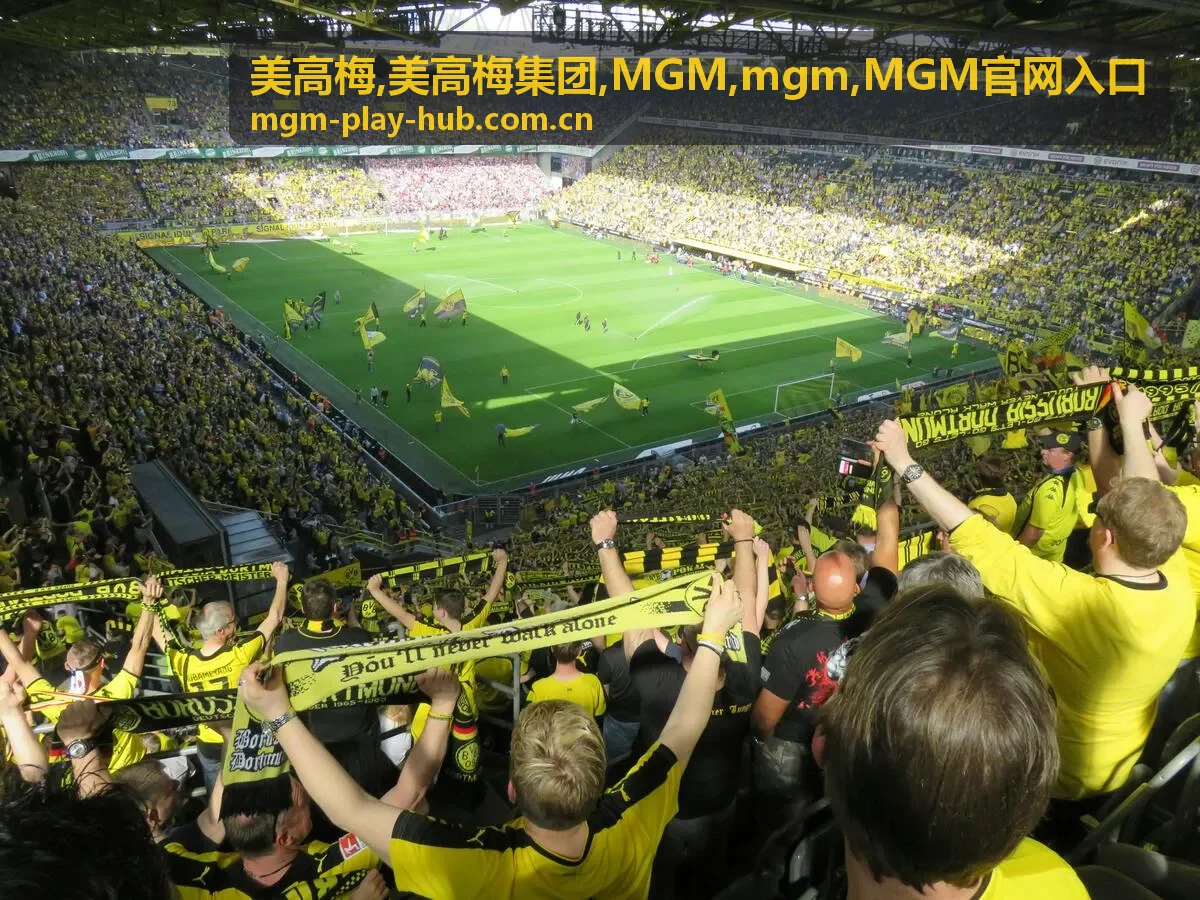 mgm 中文入口导航卡片图